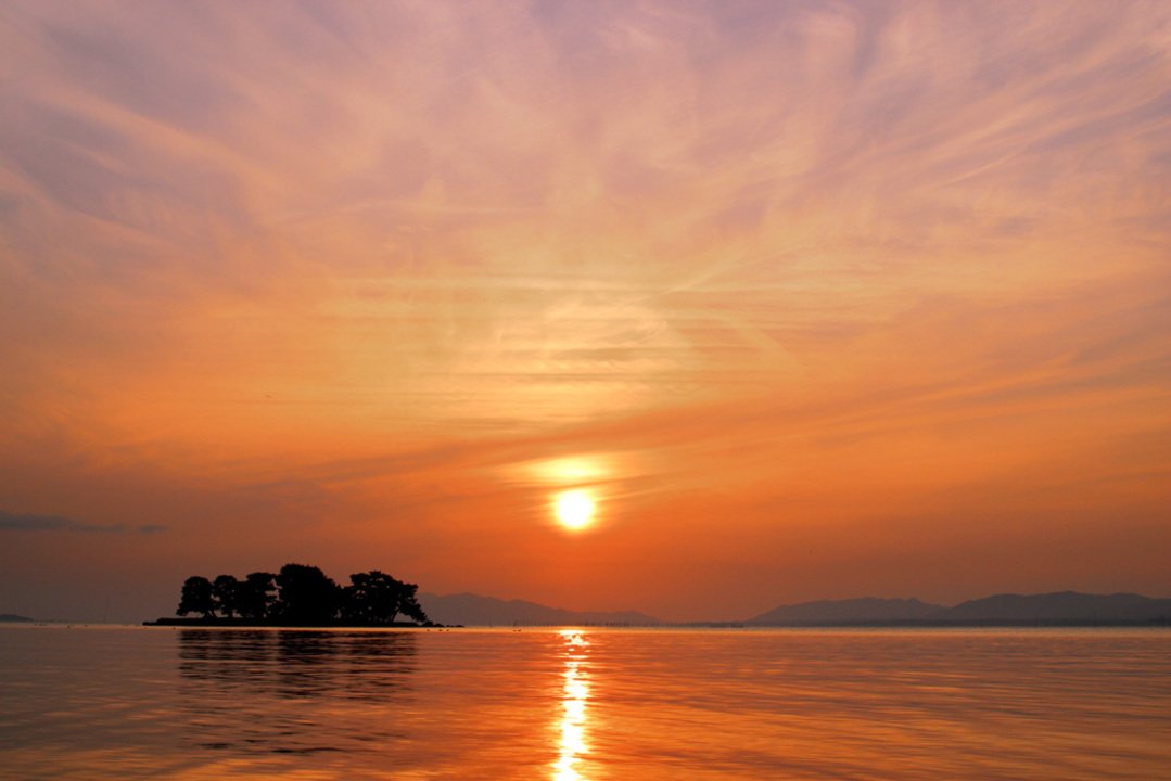 🏞️ 시라카타 공원 이미지 3